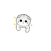 Cat Love Sticker
