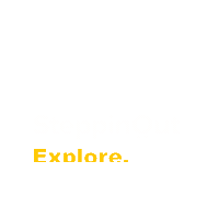 steppinoutindia  Sticker