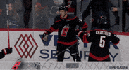 Happy Carolina Hurricanes GIF by NHL