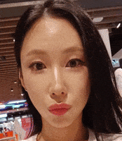 Model GIF