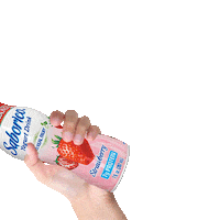 Kids Strawberry Sticker by El Mexicano® Brand