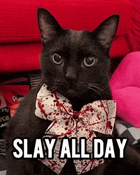Black Cat Slay GIF
