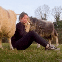 Friends Love GIF by The Dodo