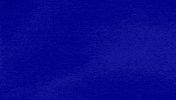 Scammers GIF by Jeopardy!