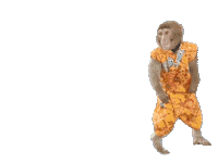Fun Monkey Sticker