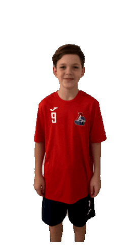 HClokomotiv children loko Sticker