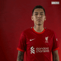 Premier League Football GIF by Liverpool FC