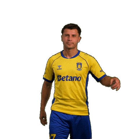 Goalcelebration Sejr Sticker by Brøndby IF