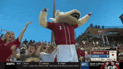 ncaasports ncaa softball oklahoma wcws GIF