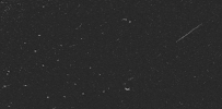 Youre Welcome My Pleasure GIF by Nueva Creative