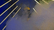 Go Blue Michigan Football GIF by Michigan Athletics