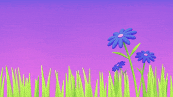 Hidden Life of Flowers