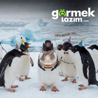 Happy Birthday GIF by Görmek Lazım