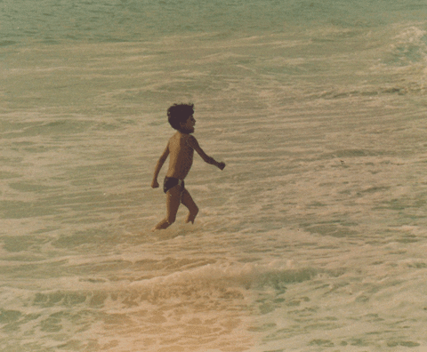 GIF by Canek