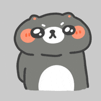 Cute Cat No GIF