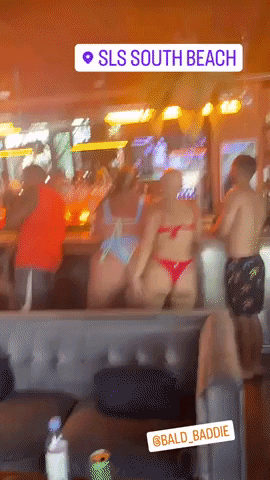 vilecoyote giphyupload GIF