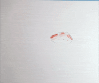 mirandapeytonjones dog morph jumper graceallen GIF