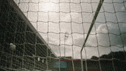 Football Soccer GIF by Salford City FC