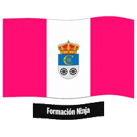 Bandera Andalucia Sticker by Formación Ninja