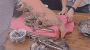 visuals_smugglers sausage visual smugglers GIF