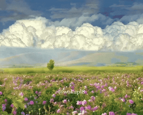 wokupl8 nature calm giphycreatortest peaceful GIF