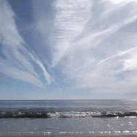 Beach Day Thank You GIF by Sound FX