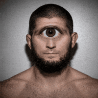 Khabib Nurmagomedov Ufc GIF