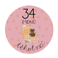 Baby Im Pregnant Sticker