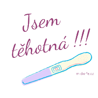 midwifecz pregnant pregnancy tehotenstvi tehotna Sticker