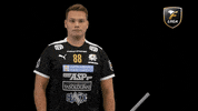 Floorball Salibandy GIF by F-liiga