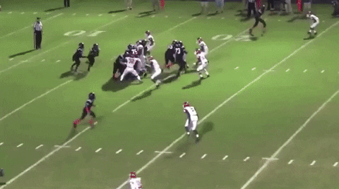 zamir white GIF