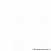 Fire Wow GIF by sendwishonline.com