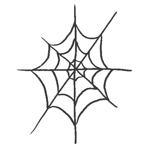 Spider Web Halloween Sticker by Kendra Scott