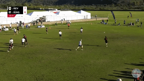 flikulti ultimate frisbee flik GIF