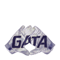 Sun Belt Football Sticker by Georgia Southern University - Auxiliary Services