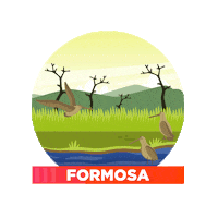 argentina formosa Sticker by Almundo