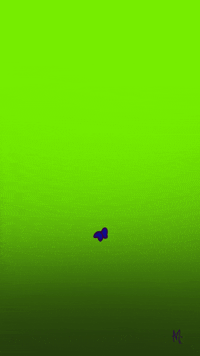 Lsd Visuals GIF by mavi