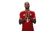 Fc Bayern Football Sticker by Bundesliga