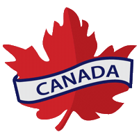 Maple Leaf Vintage Sticker by PAJAR CANADA