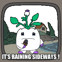 Storming Weather Report Sticker by Magic Eden