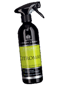 Horse Pony Sticker by carrdaymartin