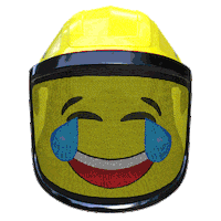 Emoji Joy Sticker by Freeworker