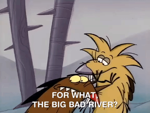 nickrewind giphydvr nicksplat angry beavers giphyab002 GIF