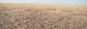 namibia GIF by Science Friday