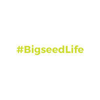 BigseedPR bigseed bigseed life Sticker