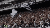 GIF by Botafogo