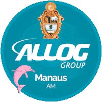 Allogbrasil Sticker by Allog International Transport