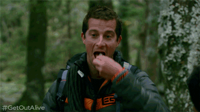 discovery channel GIF