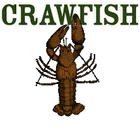 arborwear tree trees wood climbing Sticker