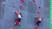 sport olympics GIF by Olympic Channel